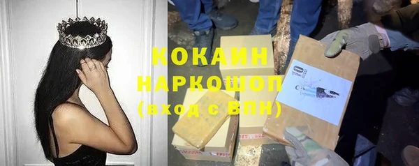 прущие крисы Белокуриха
